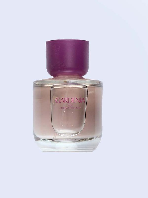 Gardenia & Orchid