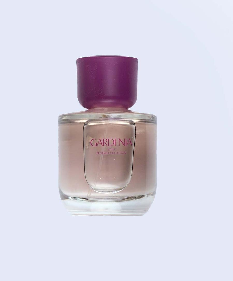Gardenia & Orchid